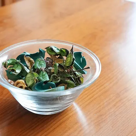 Aurora Sol 333 Διαμέρισμα Καρβοέιρο